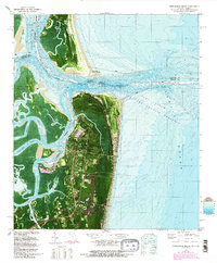Fernandina Beach 1981 topographic map thumbnail