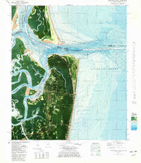 Fernandina Beach 1981 topographic map thumbnail