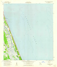 Flagler Beach East 1956 topographic map thumbnail