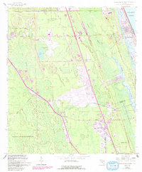 Flagler Beach West 1956 topographic map thumbnail