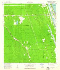 Flagler Beach West 1956 topographic map thumbnail