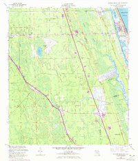 Flagler Beach West 1956 topographic map thumbnail