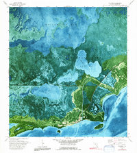 Flamingo 1973 topographic map thumbnail