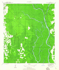 Forbes Island 1944 topographic map thumbnail