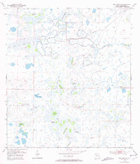 Fort Drum SW 1953 topographic map thumbnail