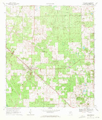 Fort White 1969 topographic map preview