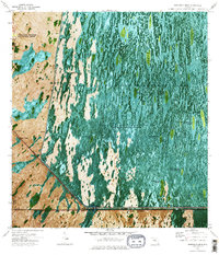Fortymile Bend 1973 topographic map thumbnail
