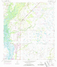 Ft. Ogden topographic map thumbnail