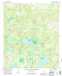 Gap Lake 1994 topographic map thumbnail