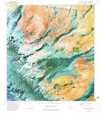 Gator Hook Swamp 1973 topographic map thumbnail