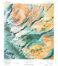 Gator Hook Swamp 1973 topographic map thumbnail