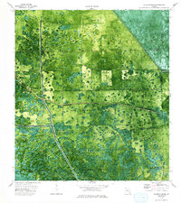 Goddens Strand 1974 topographic map thumbnail