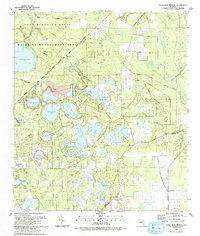 Gold Head Branch 1993 topographic map thumbnail