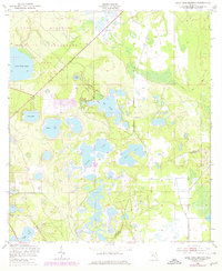 Gold Head Branch 1949 topographic map thumbnail