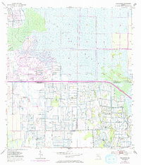 Gum Slough 1953 topographic map thumbnail