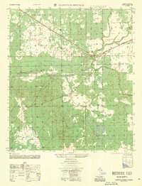 Hampton Springs 1956 topographic map thumbnail