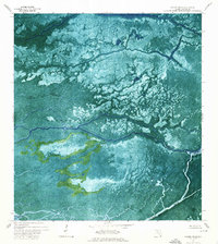 Harney River 1972 topographic map preview