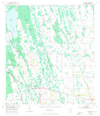 Holopaw 1953 topographic map thumbnail