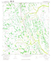 Holopaw SE 1953 topographic map thumbnail