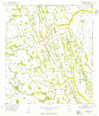 Holopaw SE 1953 topographic map thumbnail
