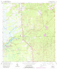 Homosassa 1954 topographic map thumbnail