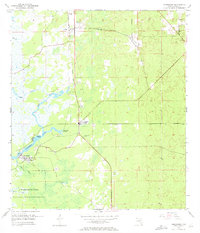 Homosassa 1954 topographic map thumbnail
