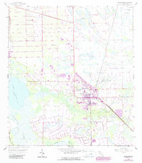 Immokalee 1958 topographic map thumbnail