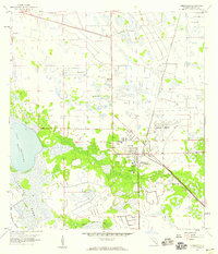 Immokalee 1958 topographic map preview