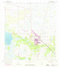Immokalee 1958 topographic map thumbnail