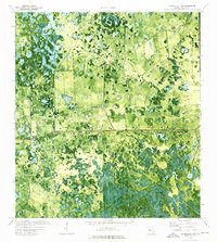 Immokalee 1 NW topographic map thumbnail