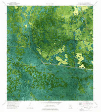 Immokalee 1 SE 1974 topographic map thumbnail