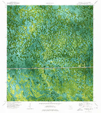 Immokalee 4 NE topographic map thumbnail