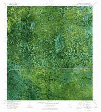 Immokalee 4 NW topographic map thumbnail
