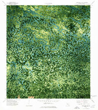 Immokalee 4 SE topographic map thumbnail