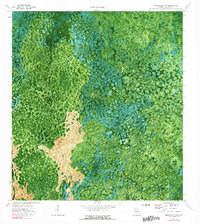 Immokalee 4 SW topographic map thumbnail