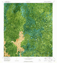 Immokalee 4 SW 1974 topographic map thumbnail