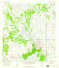 Immokalee NE 1958 topographic map thumbnail