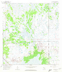 Immokalee NE 1958 topographic map thumbnail