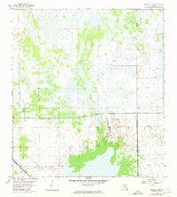 Immokalee NE 1958 topographic map thumbnail