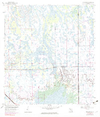 Immokalee NE 1958 topographic map thumbnail