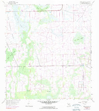 Immokalee SW 1958 topographic map thumbnail