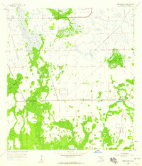 Immokalee SW 1958 topographic map thumbnail