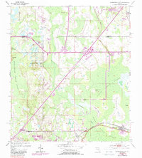 Intercession City 1953 topographic map thumbnail