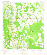 Intercession City 1953 topographic map thumbnail