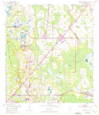 Intercession City 1953 topographic map thumbnail