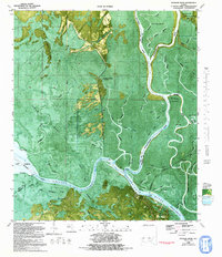 Jackson River 1982 topographic map thumbnail