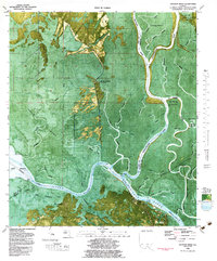 Jackson River 1982 topographic map thumbnail