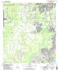 Jacksonville Heights 1993 topographic map thumbnail