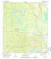 Juniper Springs 1972 topographic map thumbnail