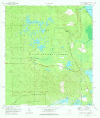 Juniper Springs 1972 topographic map thumbnail